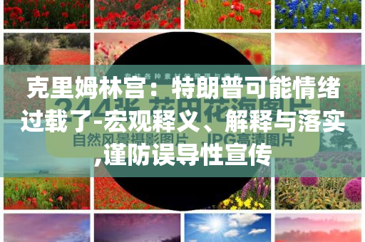 克里姆林宮：特朗普可能情緒過載了-宏觀釋義、解釋與落實,謹防誤導(dǎo)性宣傳