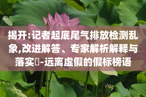 揭開:記者起底尾氣排放檢測(cè)亂象,改進(jìn)解答、專家解析解釋與落實(shí)?-遠(yuǎn)離虛假的假標(biāo)榜語