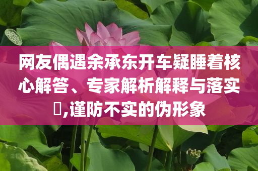 網友偶遇余承東開車疑睡著核心解答、專家解析解釋與落實?,謹防不實的偽形象