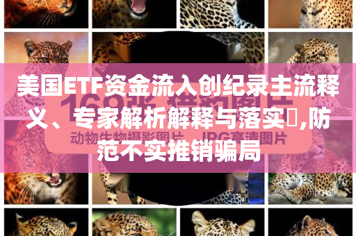 美國ETF資金流入創紀錄主流釋義、專家解析解釋與落實?,防范不實推銷騙局