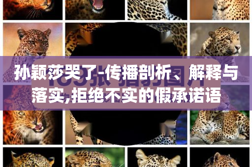 孫穎莎哭了-傳播剖析、解釋與落實,拒絕不實的假承諾語