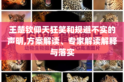 王楚欽仰天狂笑和規避不實的聲明,方案解讀、專家解讀解釋與落實
