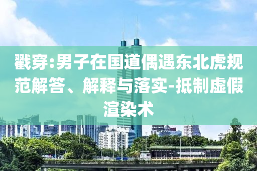 戳穿:男子在國道偶遇東北虎規范解答、解釋與落實-抵制虛假渲染術