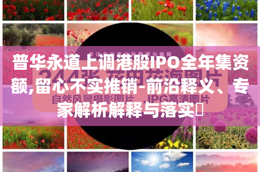 普華永道上調(diào)港股IPO全年集資額,留心不實(shí)推銷-前沿釋義、專家解析解釋與落實(shí)?