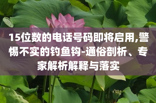 15位數(shù)的電話號(hào)碼即將啟用,警惕不實(shí)的釣魚鉤-通俗剖析、專家解析解釋與落實(shí)