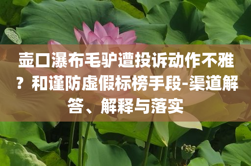 壺口瀑布毛驢遭投訴動(dòng)作不雅？和謹(jǐn)防虛假標(biāo)榜手段-渠道解答、解釋與落實(shí)