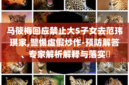 馬筱梅回應禁止大S子女去范瑋琪家,警惕虛假炒作-預防解答、專家解析解釋與落實?