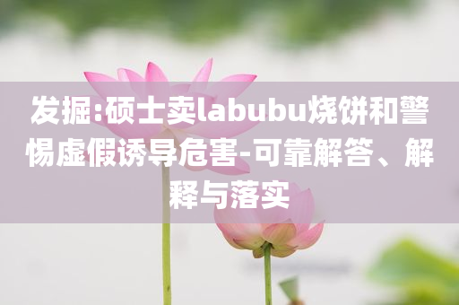 發(fā)掘:碩士賣labubu燒餅和警惕虛假誘導(dǎo)危害-可靠解答、解釋與落實