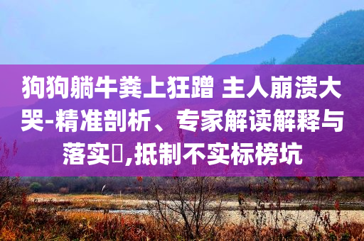 狗狗躺牛糞上狂蹭 主人崩潰大哭-精準(zhǔn)剖析、專家解讀解釋與落實(shí)?,抵制不實(shí)標(biāo)榜坑