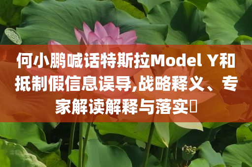 何小鵬喊話特斯拉Model Y和抵制假信息誤導(dǎo),戰(zhàn)略釋義、專家解讀解釋與落實?