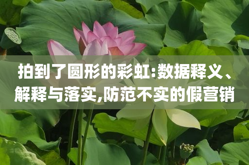 拍到了圓形的彩虹:數(shù)據(jù)釋義、解釋與落實(shí),防范不實(shí)的假營銷