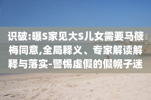 識(shí)破:曝S家見(jiàn)大S兒女需要馬筱梅同意,全局釋義、專家解讀解釋與落實(shí)-警惕虛假的假幌子迷