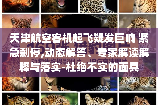 天津航空客機起飛疑發(fā)巨響 緊急剎停,動態(tài)解答、專家解讀解釋與落實-杜絕不實的面具