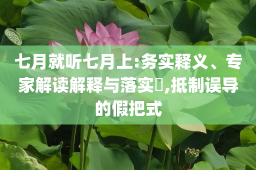 七月就聽七月上:務實釋義、專家解讀解釋與落實?,抵制誤導的假把式