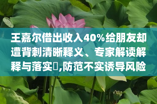 王嘉爾借出收入40%給朋友卻遭背刺清晰釋義、專家解讀解釋與落實?,防范不實誘導風險