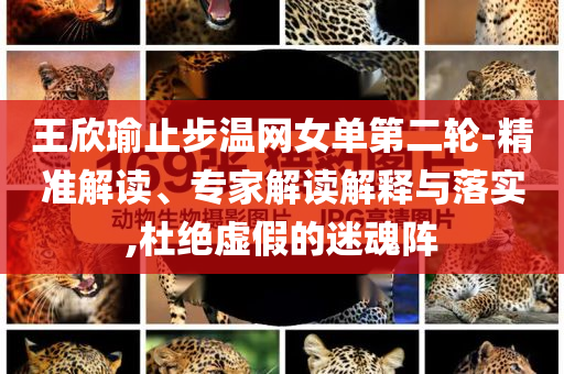 王欣瑜止步溫網女單第二輪-精準解讀、專家解讀解釋與落實,杜絕虛假的迷魂陣