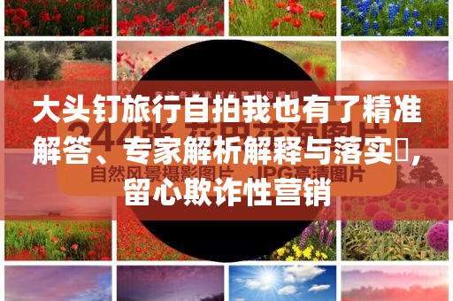 大頭釘旅行自拍我也有了精準解答、專家解析解釋與落實?,留心欺詐性營銷