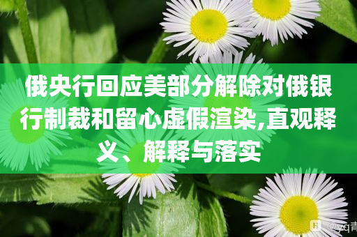 俄央行回應(yīng)美部分解除對俄銀行制裁和留心虛假渲染,直觀釋義、解釋與落實