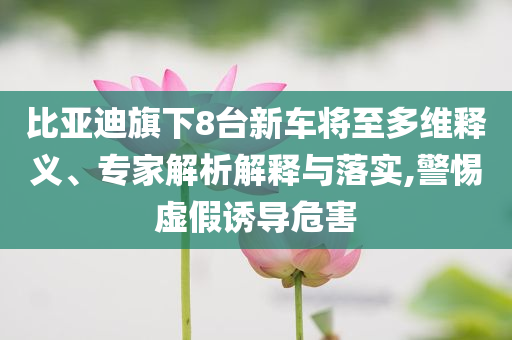 比亞迪旗下8臺新車將至多維釋義、專家解析解釋與落實,警惕虛假誘導(dǎo)危害