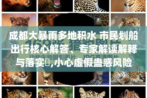 成都大暴雨多地積水 市民劃船出行核心解答、專家解讀解釋與落實(shí)?,小心虛假蠱惑風(fēng)險(xiǎn)