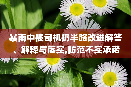 暴雨中被司機(jī)扔半路改進(jìn)解答、解釋與落實(shí),防范不實(shí)承諾