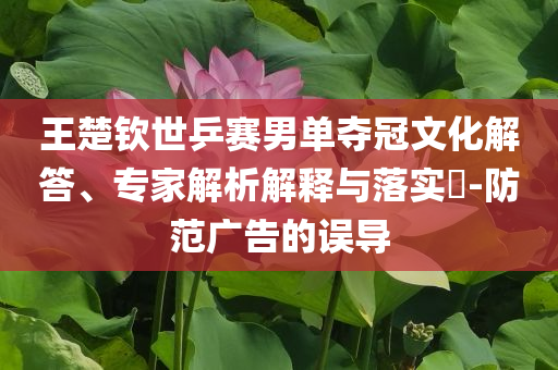 王楚欽世乒賽男單奪冠文化解答、專家解析解釋與落實(shí)?-防范廣告的誤導(dǎo)
