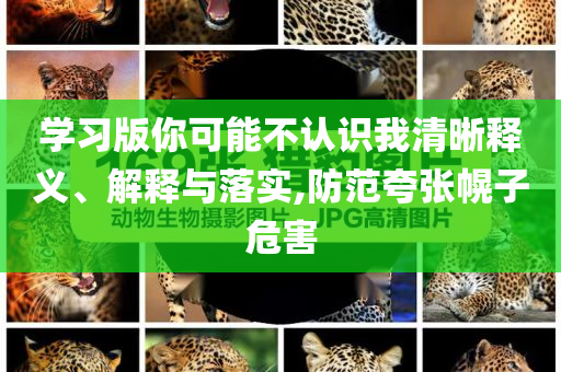 學習版你可能不認識我清晰釋義、解釋與落實,防范夸張幌子危害