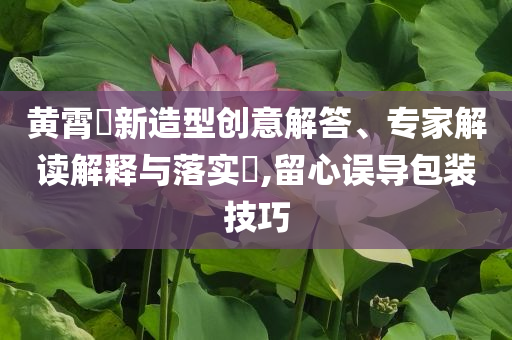 黃霄雲新造型創意解答、專家解讀解釋與落實?,留心誤導包裝技巧