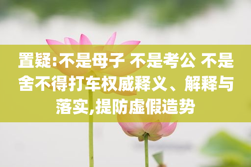 置疑:不是母子 不是考公 不是舍不得打車權威釋義、解釋與落實,提防虛假造勢