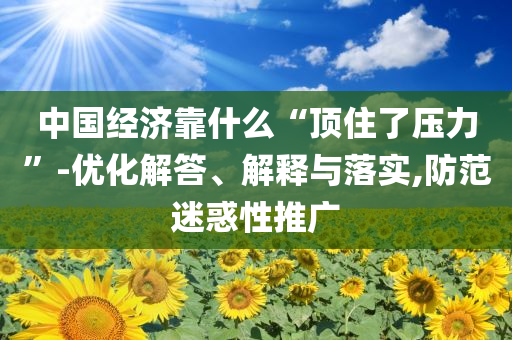 中國經濟靠什么“頂住了壓力”-優化解答、解釋與落實,防范迷惑性推廣
