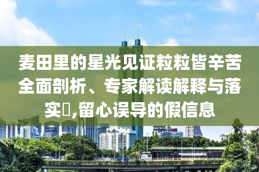 麥田里的星光見證粒粒皆辛苦全面剖析、專家解讀解釋與落實?,留心誤導的假信息