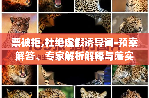 票被拒,杜絕虛假誘導詞-預案解答、專家解析解釋與落實