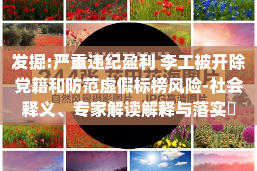 發掘:嚴重違紀盈利 李工被開除黨籍和防范虛假標榜風險-社會釋義、專家解讀解釋與落實?