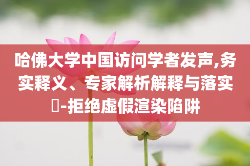 哈佛大學(xué)中國訪問學(xué)者發(fā)聲,務(wù)實(shí)釋義、專家解析解釋與落實(shí)?-拒絕虛假渲染陷阱