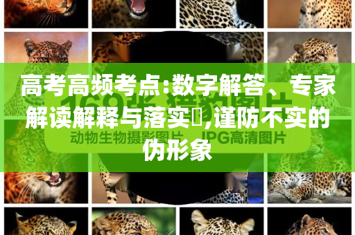 高考高頻考點(diǎn):數(shù)字解答、專家解讀解釋與落實(shí)?,謹(jǐn)防不實(shí)的偽形象