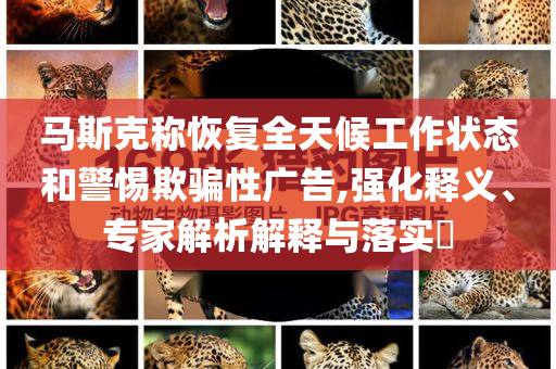 馬斯克稱恢復全天候工作狀態和警惕欺騙性廣告,強化釋義、專家解析解釋與落實?