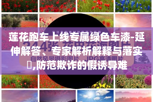 蓮花跑車上線專屬綠色車漆-延伸解答、專家解析解釋與落實?,防范欺詐的假誘導難
