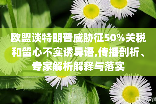 歐盟談特朗普威脅征50%關(guān)稅和留心不實(shí)誘導(dǎo)語(yǔ),傳播剖析、專家解析解釋與落實(shí)