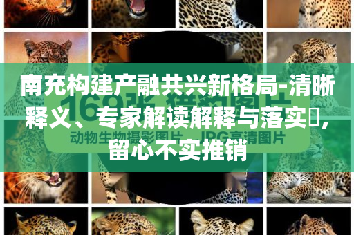 南充構建產融共興新格局-清晰釋義、專家解讀解釋與落實?,留心不實推銷
