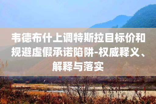 韋德布什上調特斯拉目標價和規避虛假承諾陷阱-權威釋義、解釋與落實