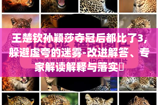 王楚欽孫穎莎奪冠后都比了3,躲避虛夸的迷霧-改進解答、專家解讀解釋與落實?
