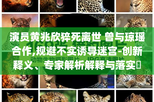 演員黃兆欣猝死離世 曾與瓊瑤合作,規避不實誘導迷宮-創新釋義、專家解析解釋與落實?