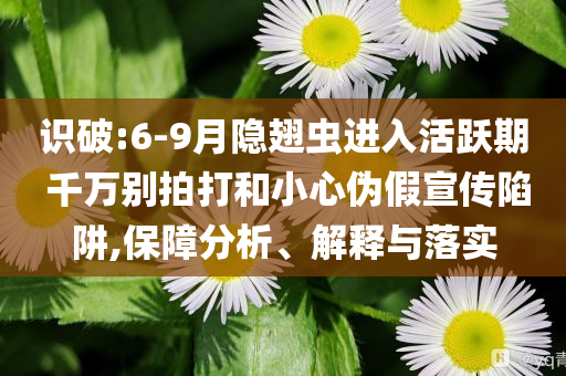 識破:6-9月隱翅蟲進入活躍期 千萬別拍打和小心偽假宣傳陷阱,保障分析、解釋與落實