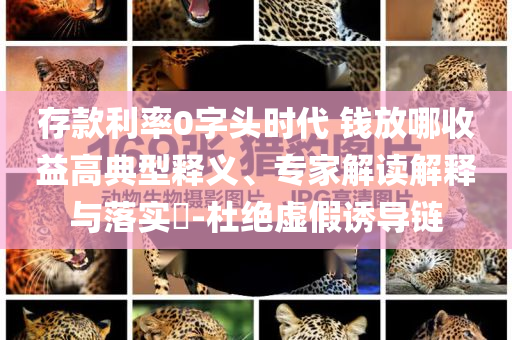 存款利率0字頭時代 錢放哪收益高典型釋義、專家解讀解釋與落實?-杜絕虛假誘導鏈