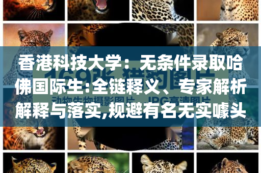 香港科技大學：無條件錄取哈佛國際生:全鏈釋義、專家解析解釋與落實,規避有名無實噱頭