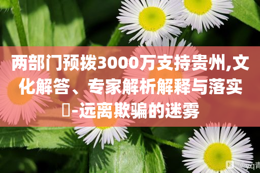 兩部門預撥3000萬支持貴州,文化解答、專家解析解釋與落實?-遠離欺騙的迷霧