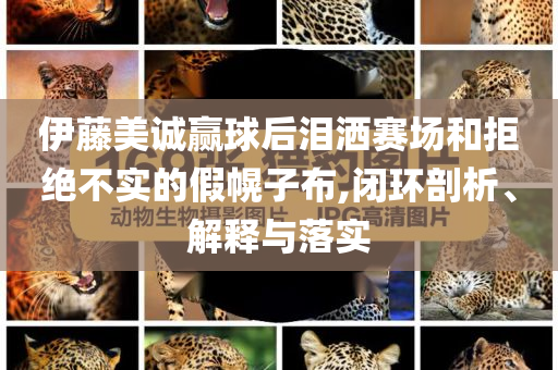 伊藤美誠贏球后淚灑賽場和拒絕不實的假幌子布,閉環剖析、解釋與落實