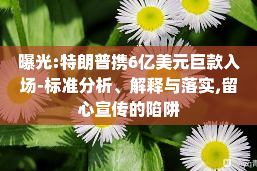 曝光:特朗普攜6億美元巨款入場-標準分析、解釋與落實,留心宣傳的陷阱