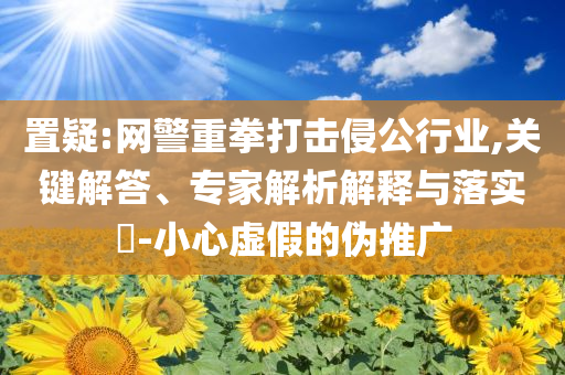 置疑:網警重拳打擊侵公行業,關鍵解答、專家解析解釋與落實?-小心虛假的偽推廣