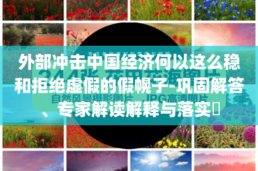 外部沖擊中國(guó)經(jīng)濟(jì)何以這么穩(wěn)和拒絕虛假的假幌子-鞏固解答、專家解讀解釋與落實(shí)?